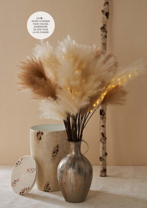 Flower Celosia beige