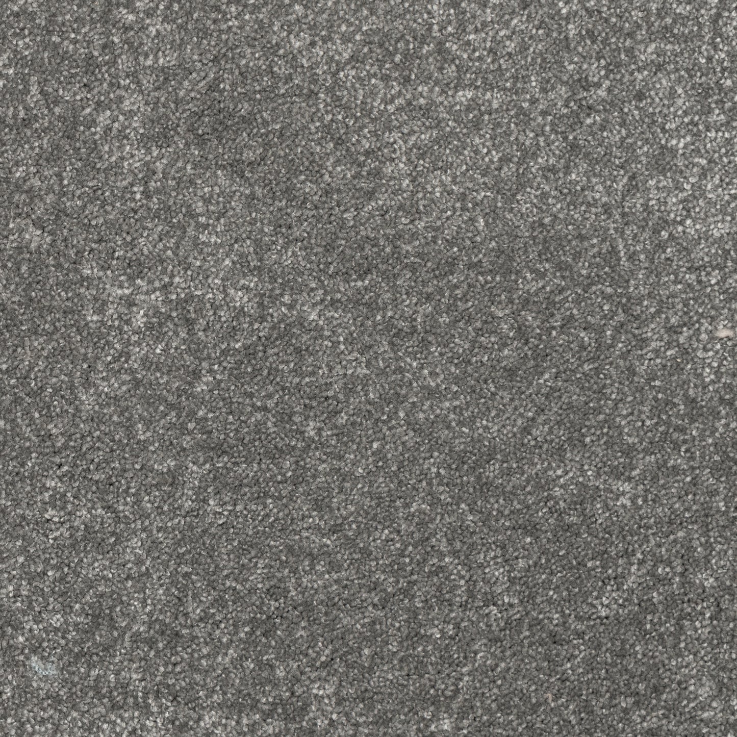 Belgrado Carpet