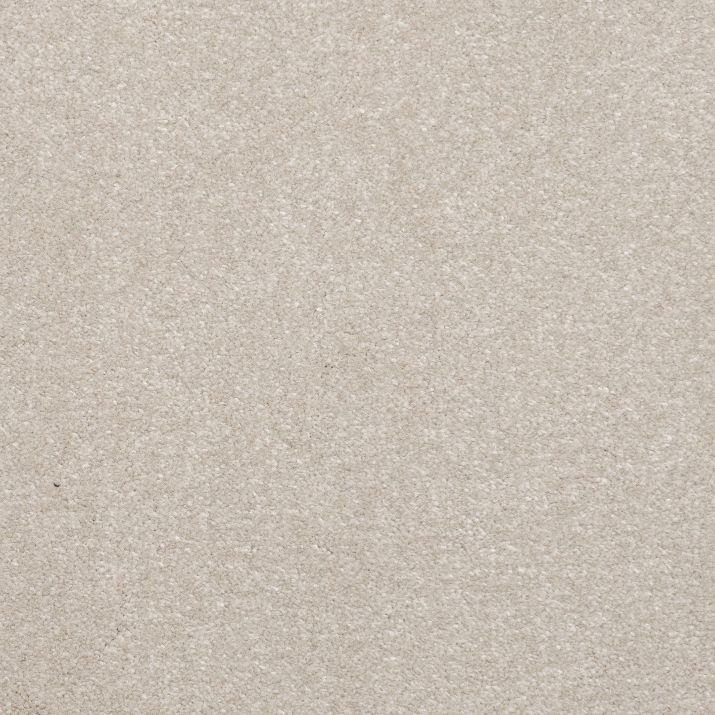 Belgrado Carpet
