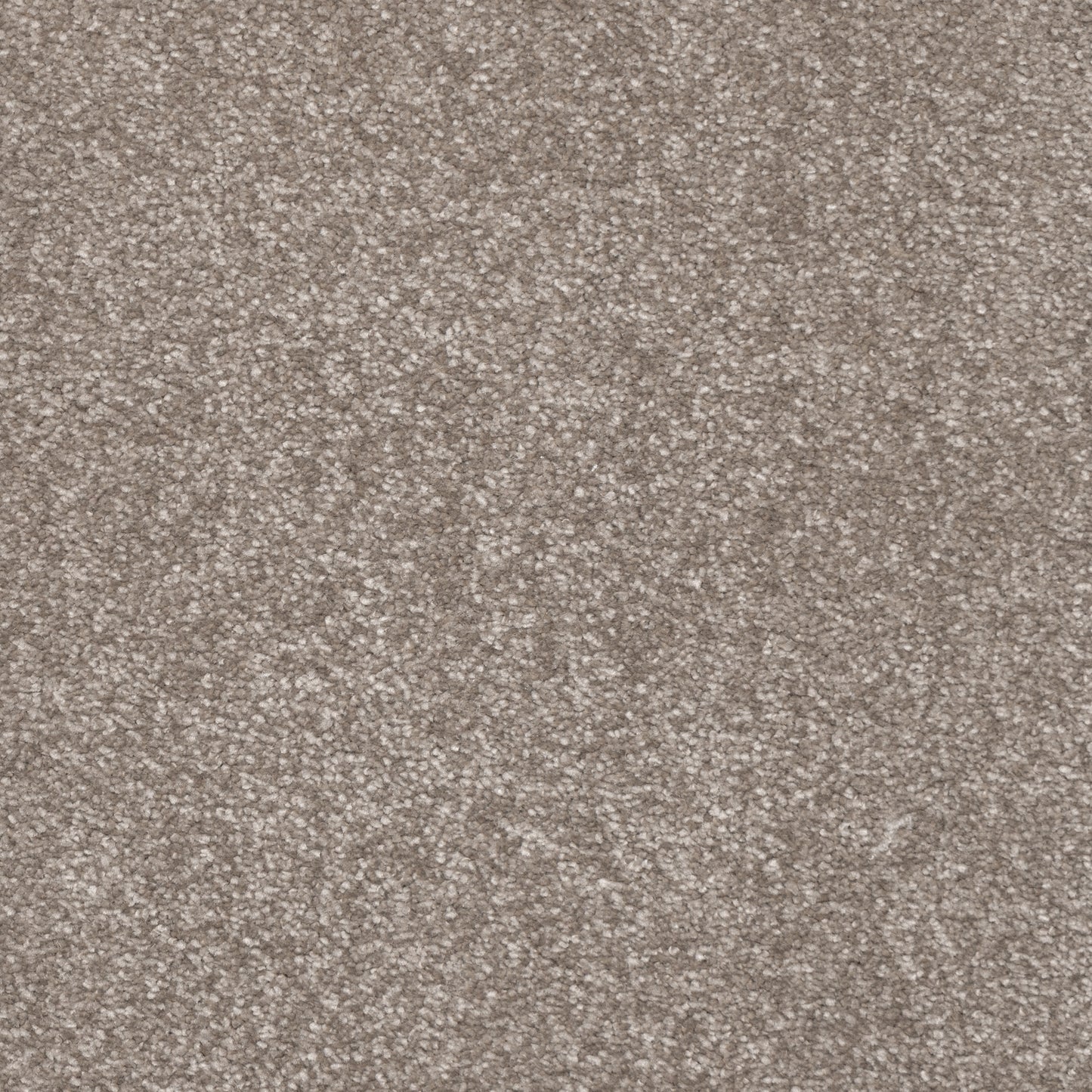 Belgrado Carpet