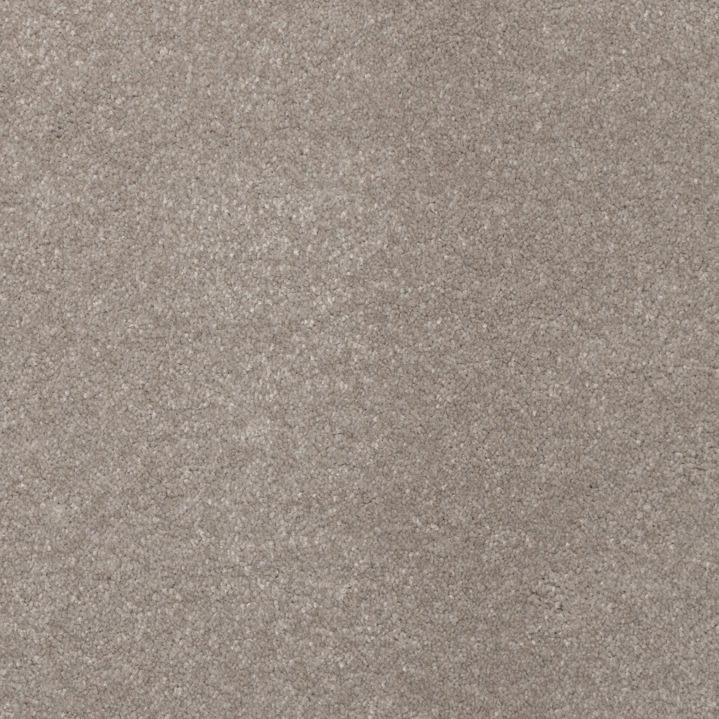 Belgrado Carpet