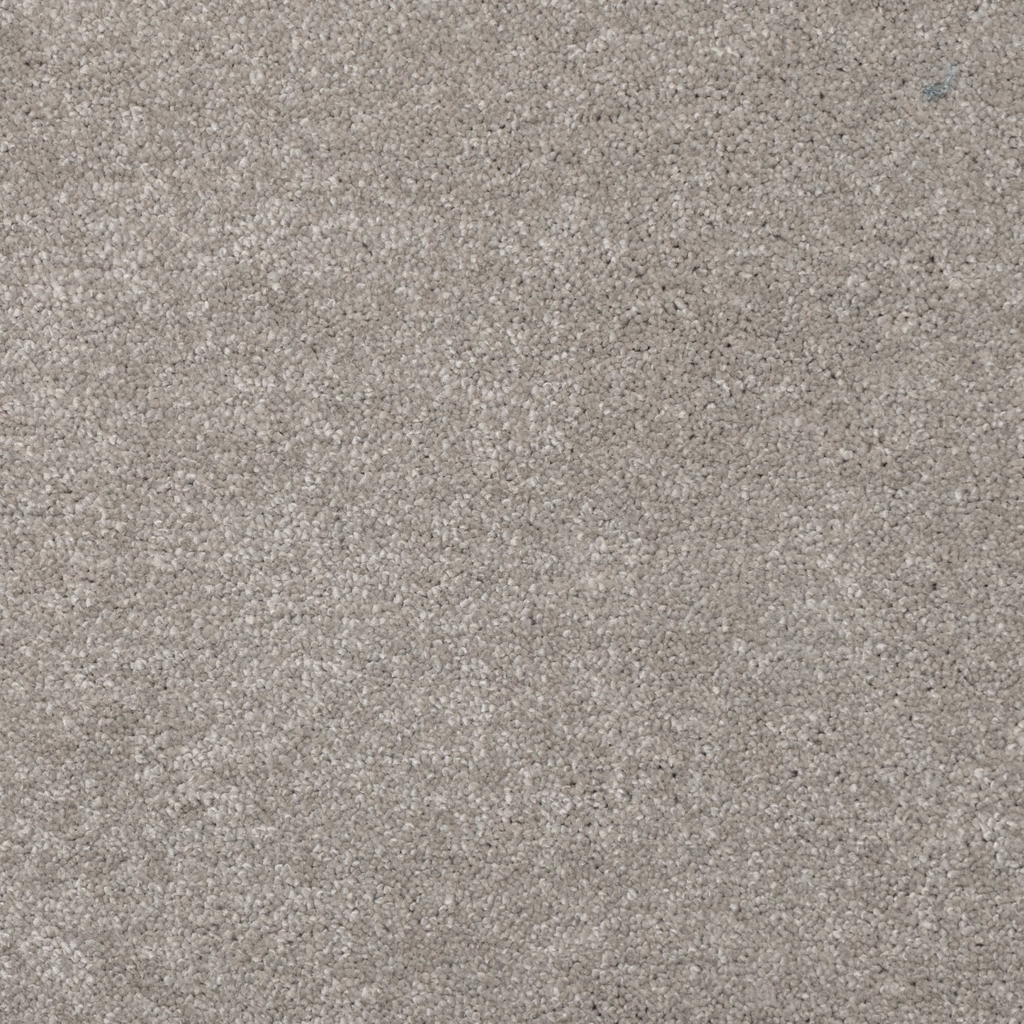 Belgrado Carpet