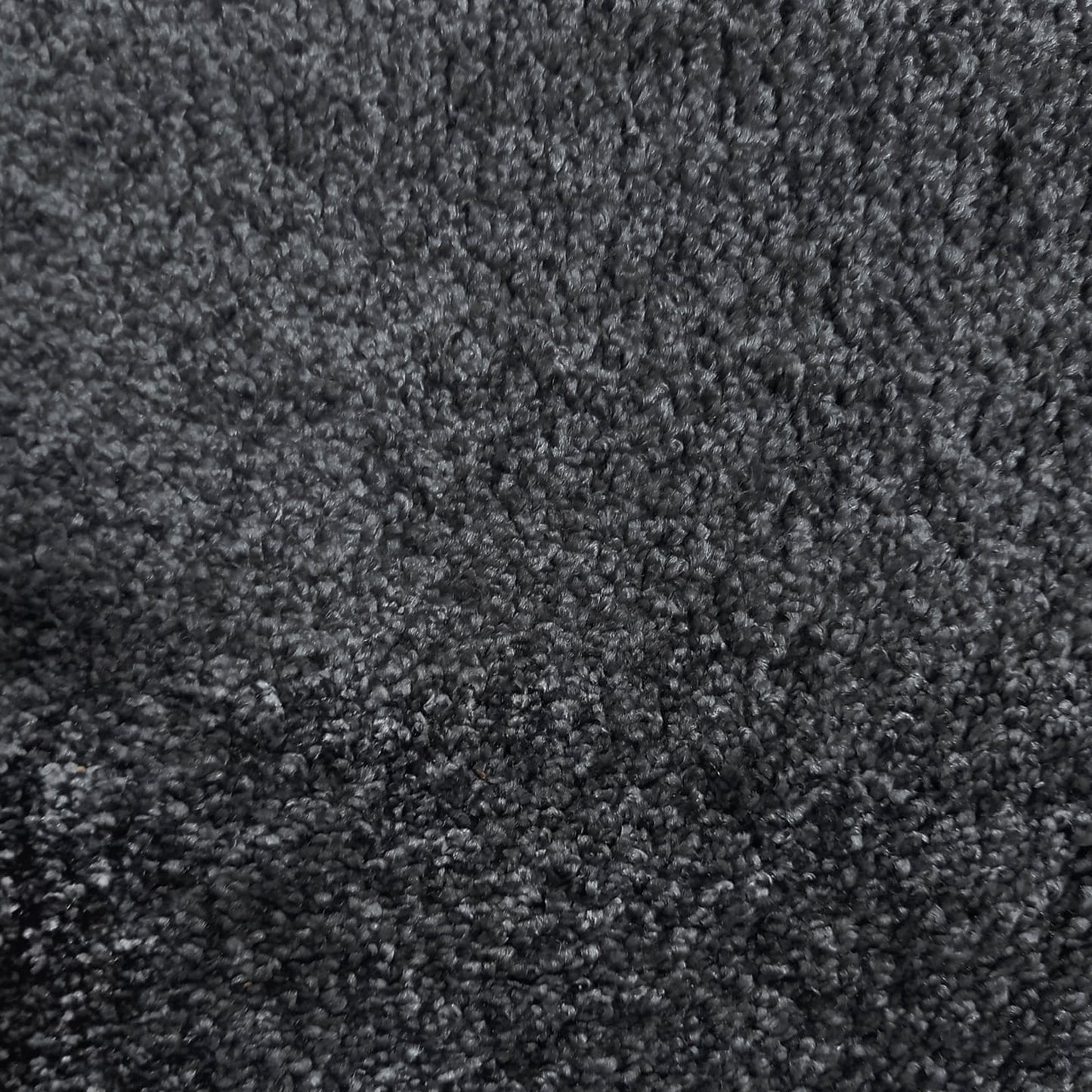 Brasilia Carpet