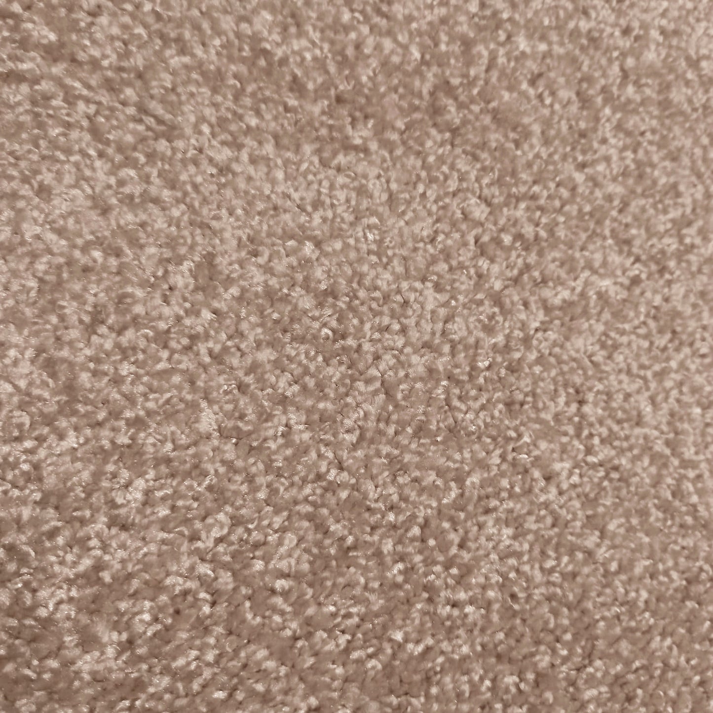 Brasilia Carpet
