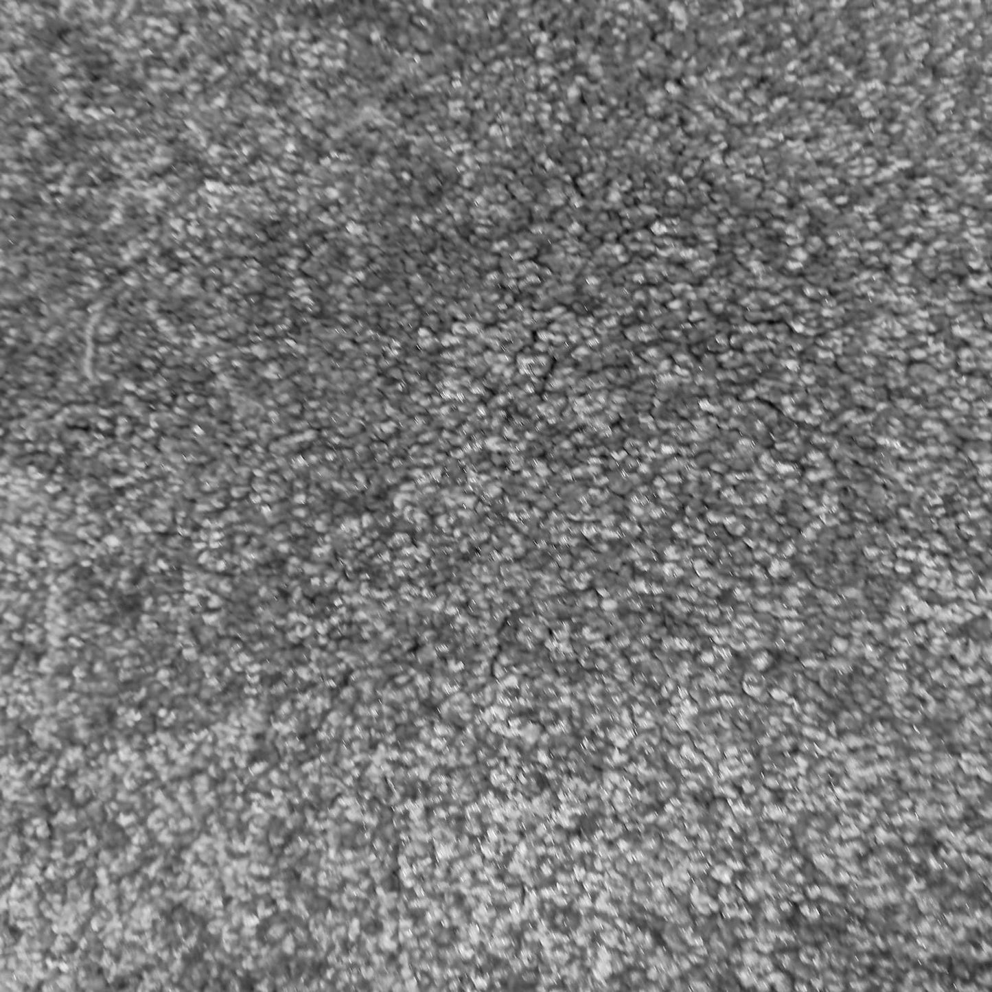Brasilia Carpet