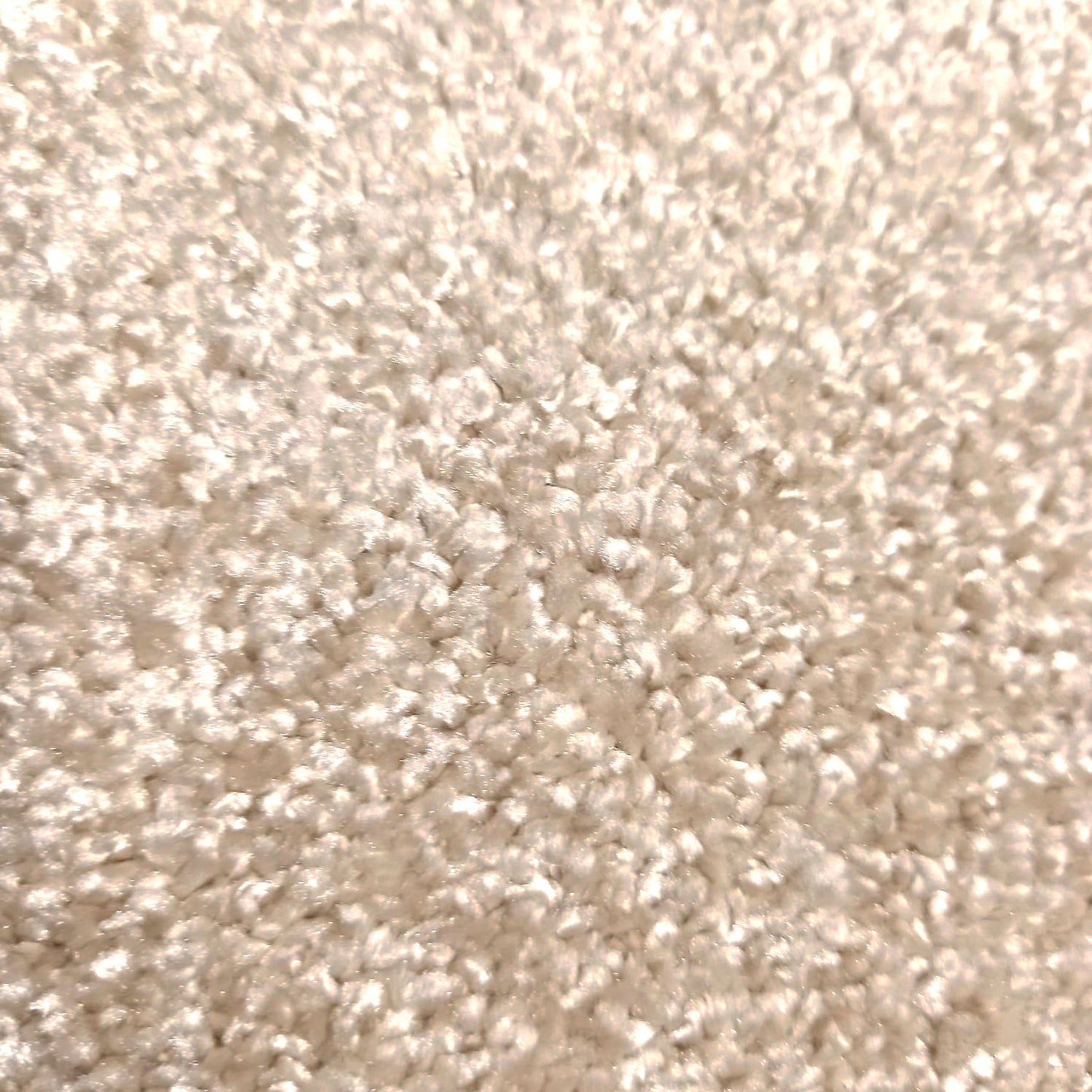 Brasilia Carpet
