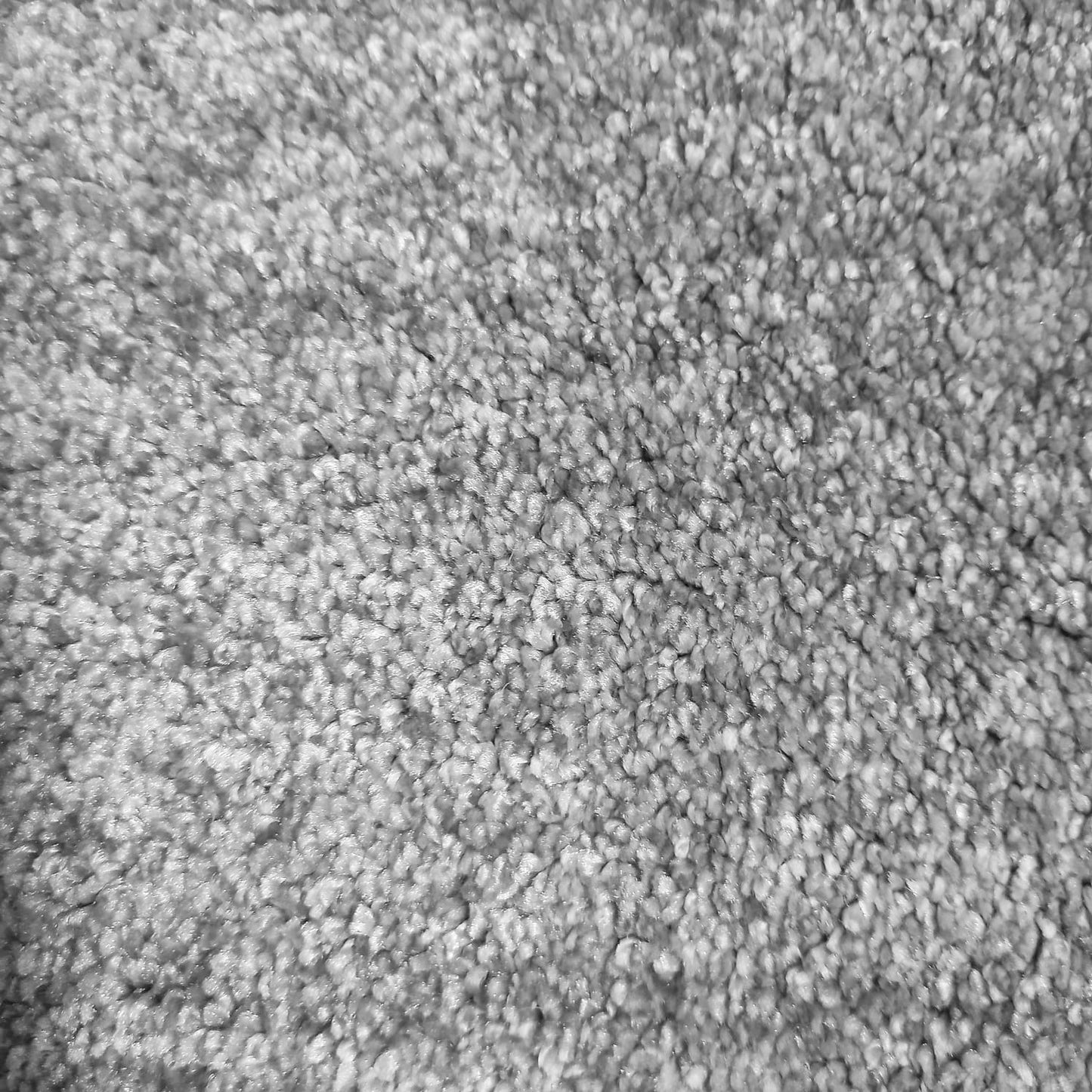 Brasilia Carpet