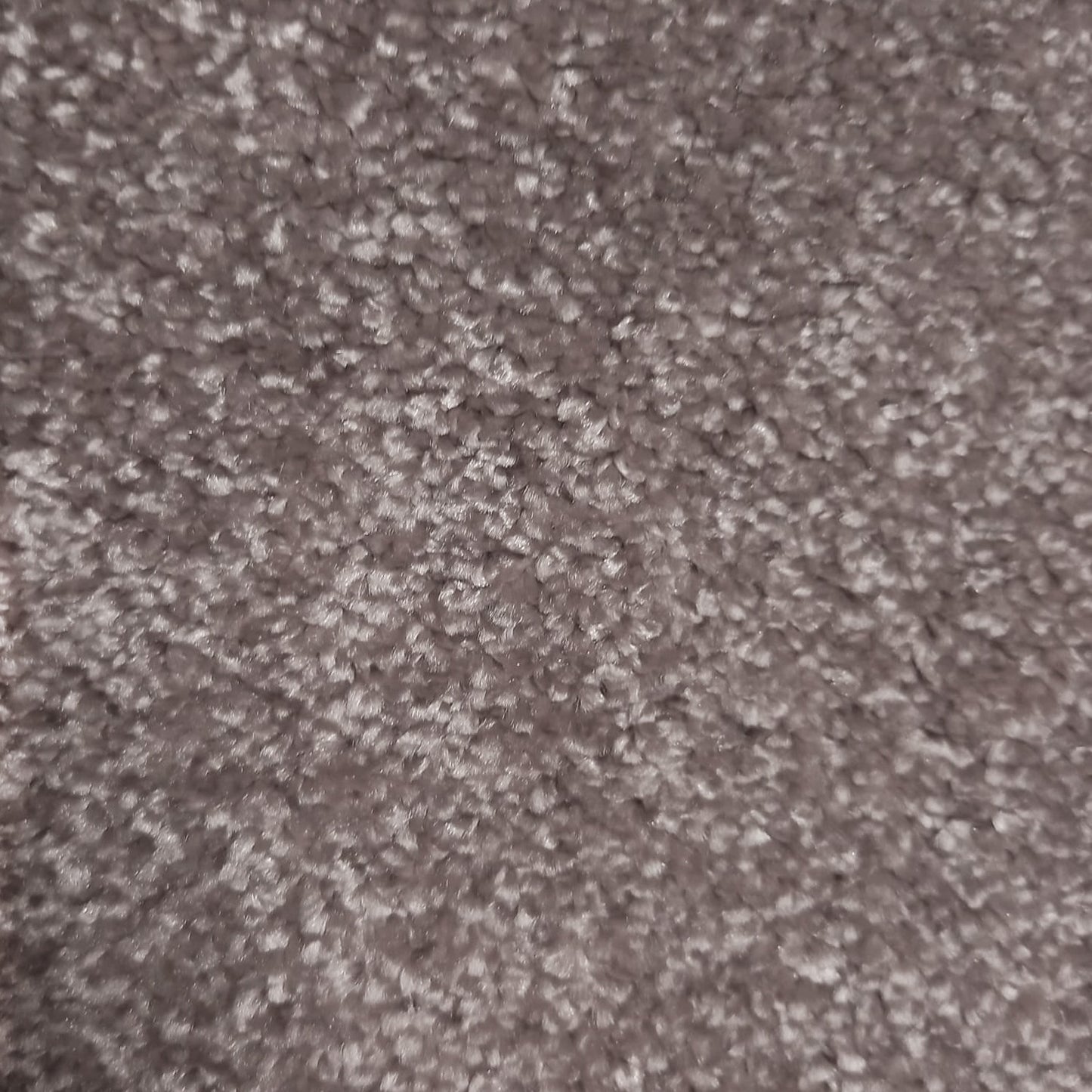 Brasilia Carpet