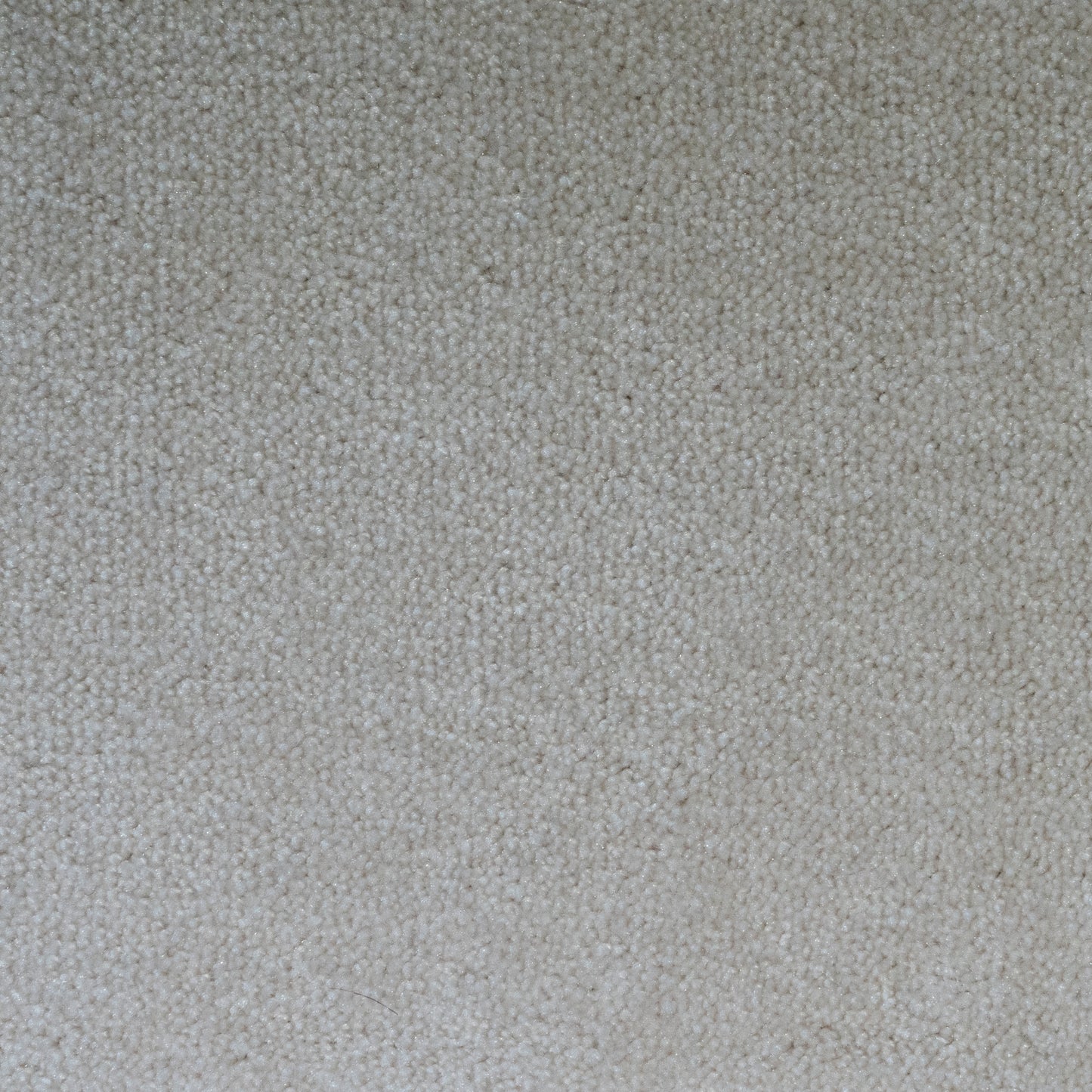 Atenas Carpet