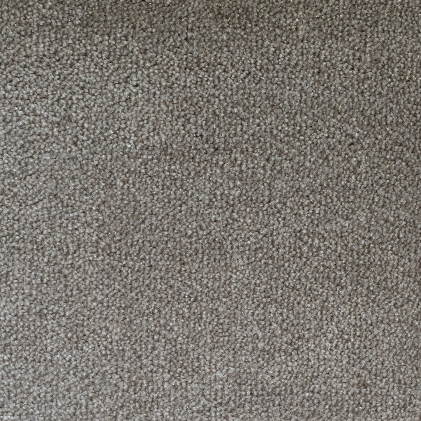 Atenas Carpet