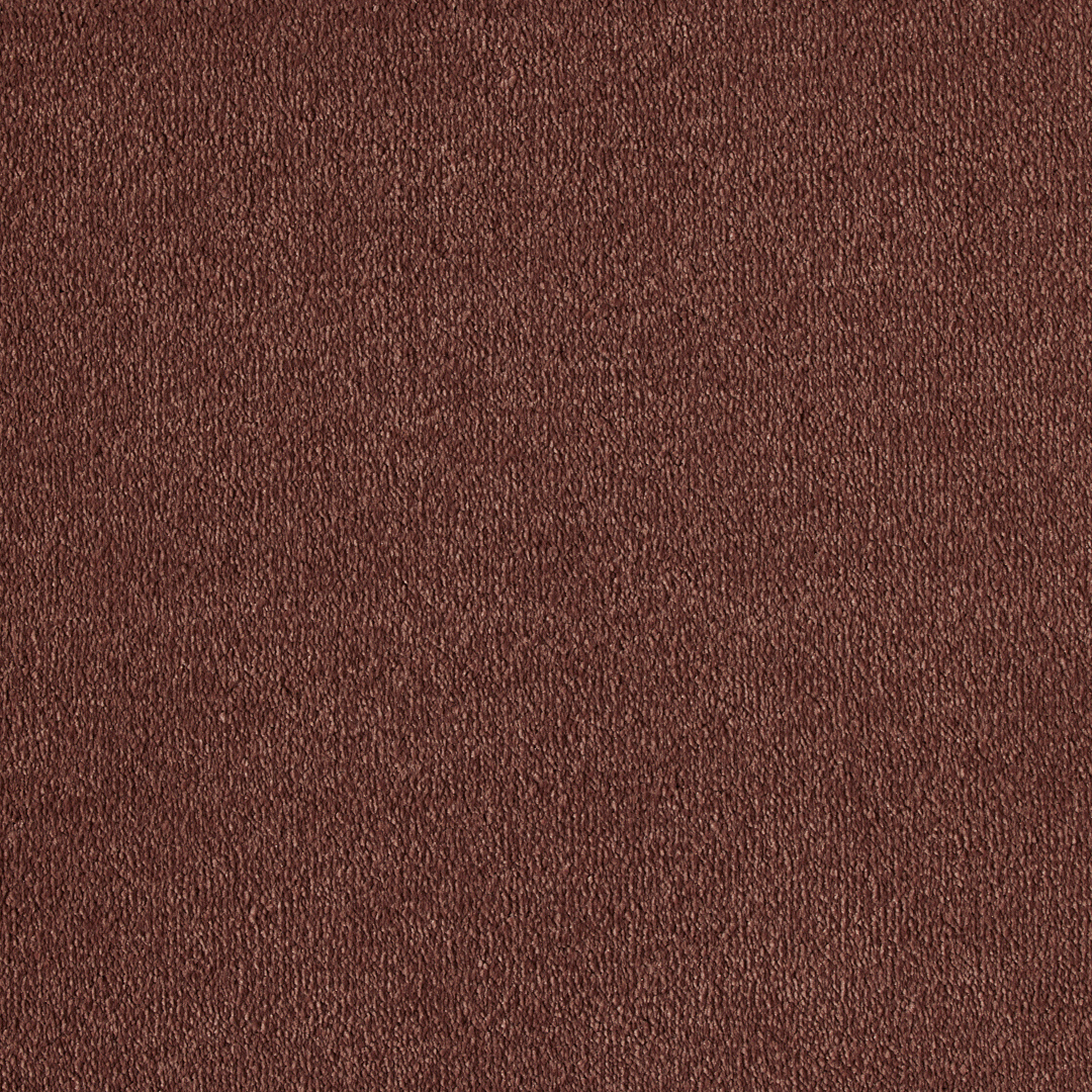 Vitoria Carpet