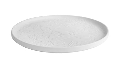 Platter · Garden of Wonder
