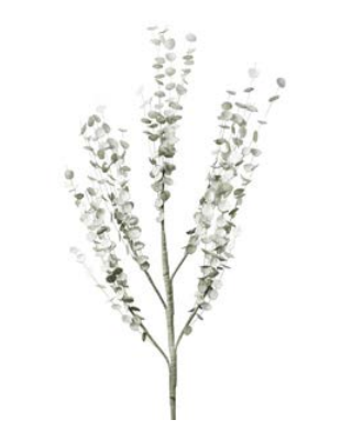 Flower emoidi