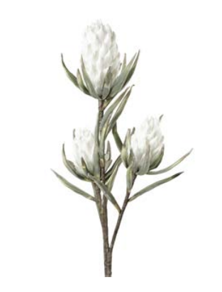 Flower Cluchi