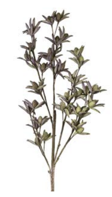 Flower Fifium