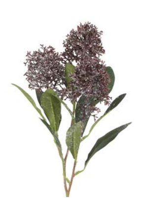 FLOWER LILAS