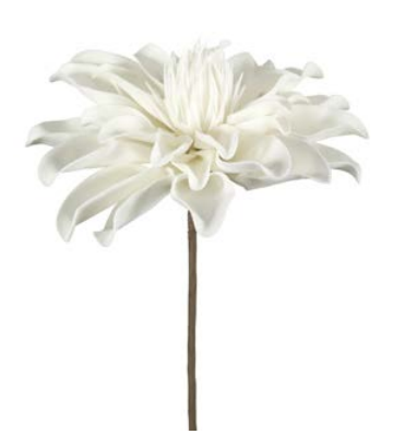 Flower Nenia