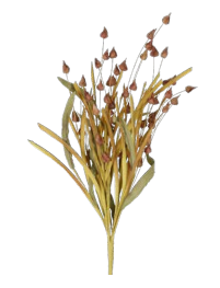 Flower Bouquet Brown