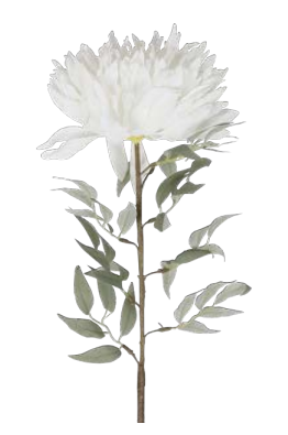 Flower Viva