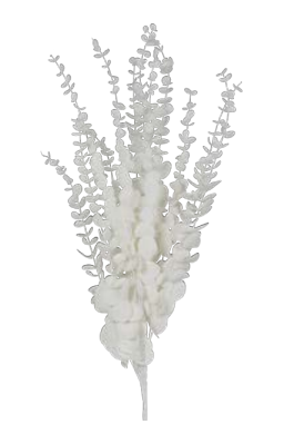 Flower Ceropia