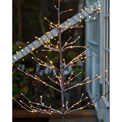 Alex Tree Sowy white