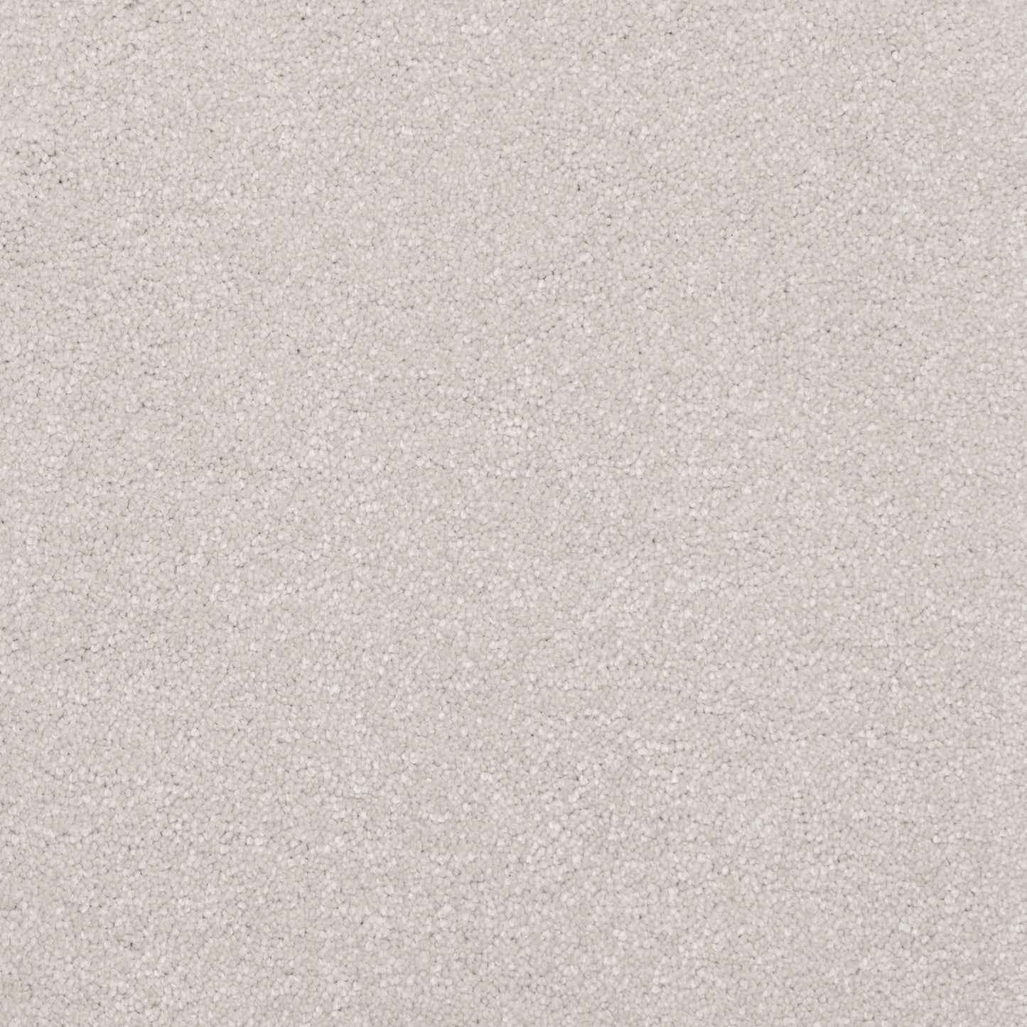 Belgrado Carpet