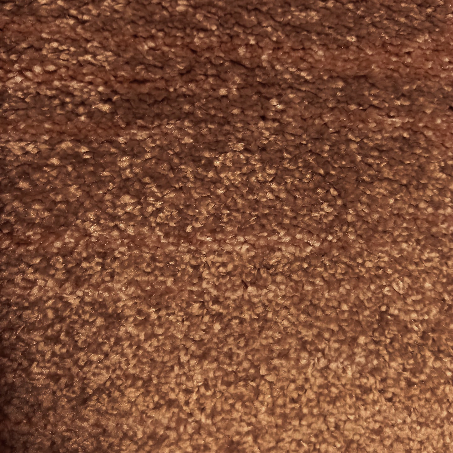 Brasilia Carpet