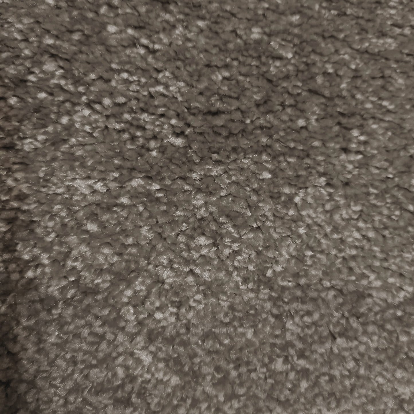 Brasilia Carpet