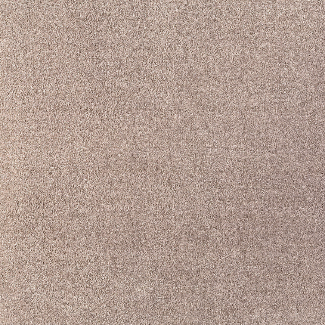 Sophia Carpet