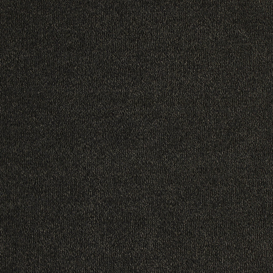 Vitoria Carpet
