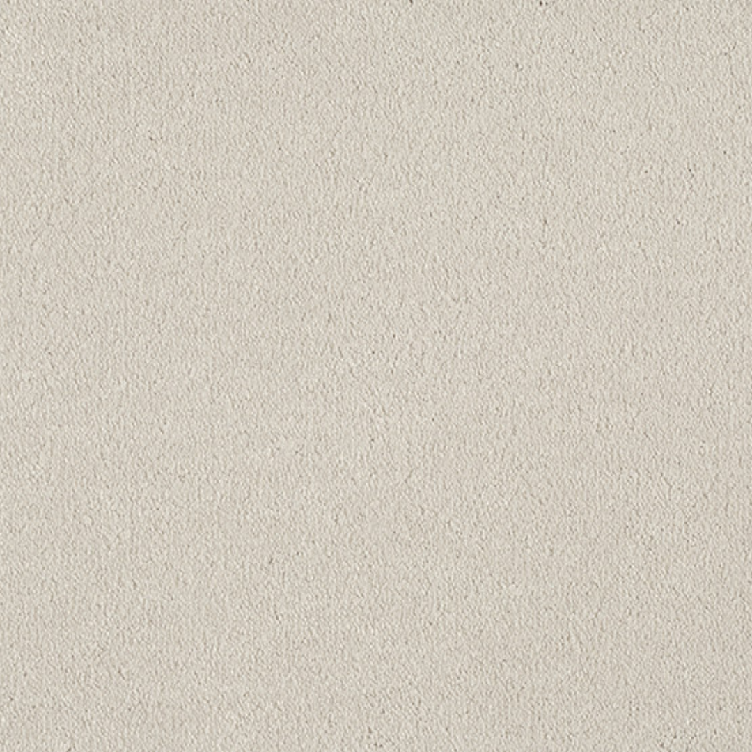 Vitoria Carpet