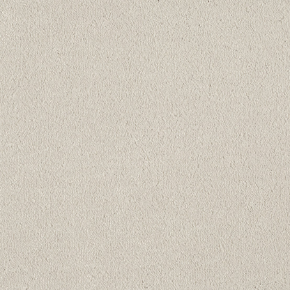Vitoria Carpet
