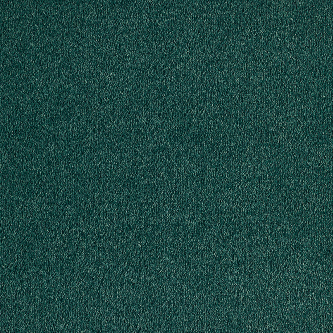 Vitoria Carpet