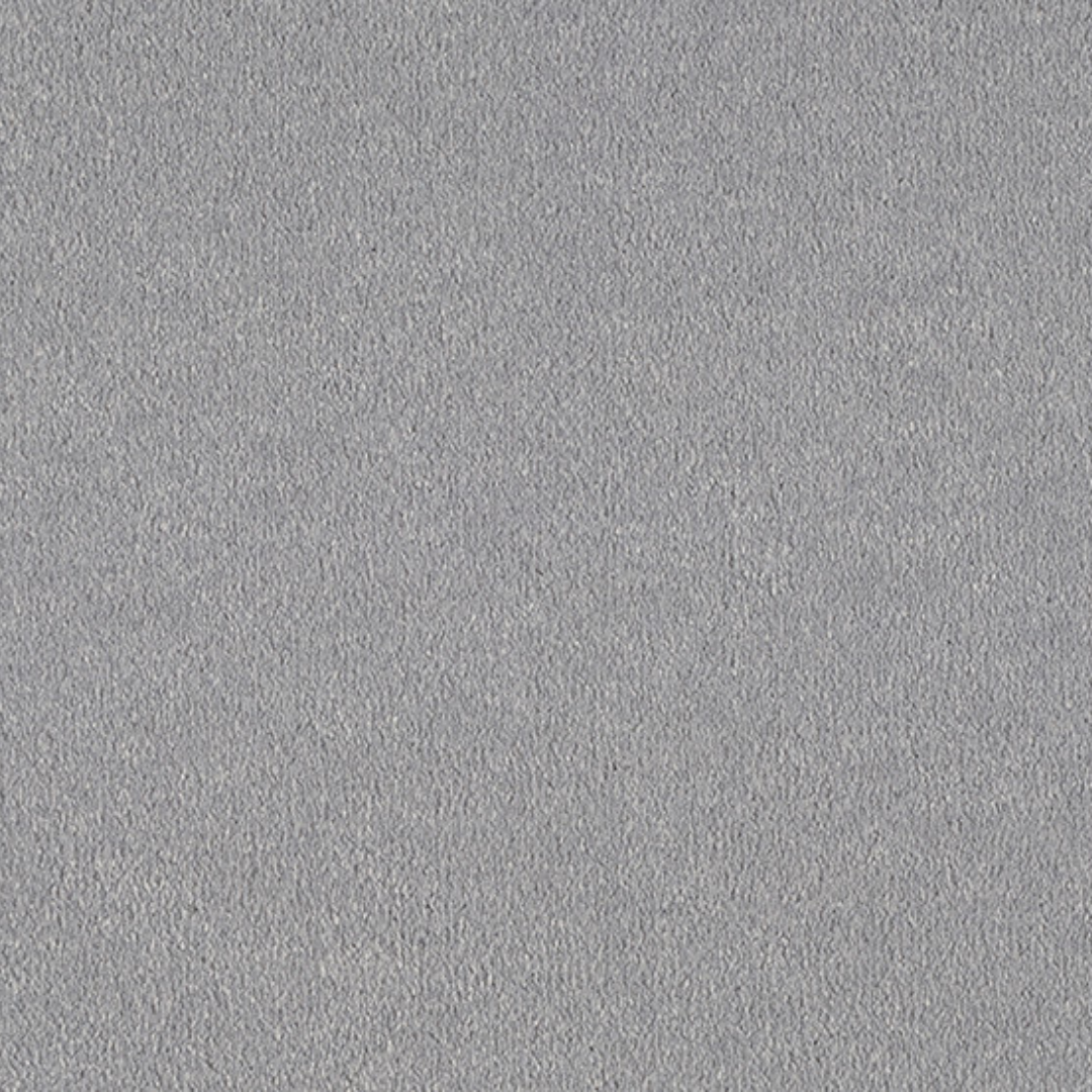 Vitoria Carpet