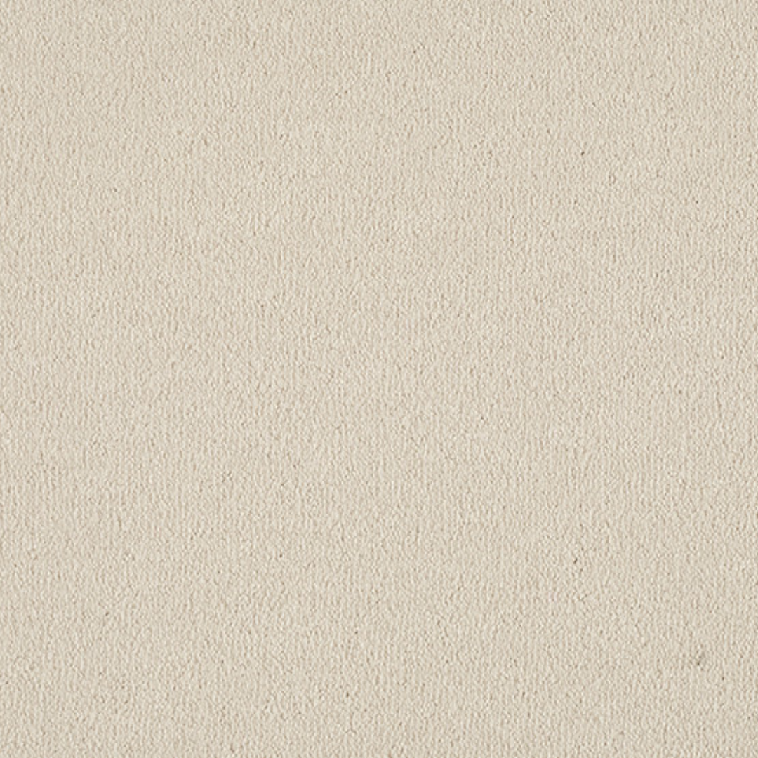 Vitoria Carpet