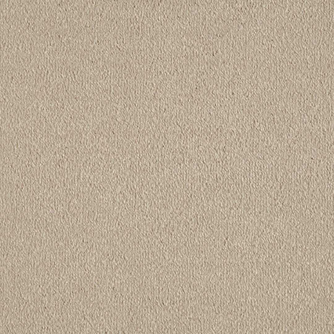 Vitoria Carpet