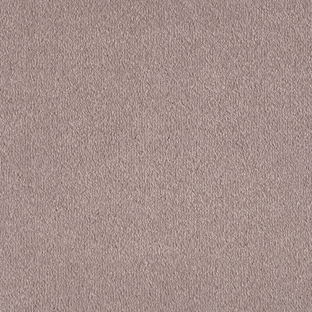 Vitoria Carpet