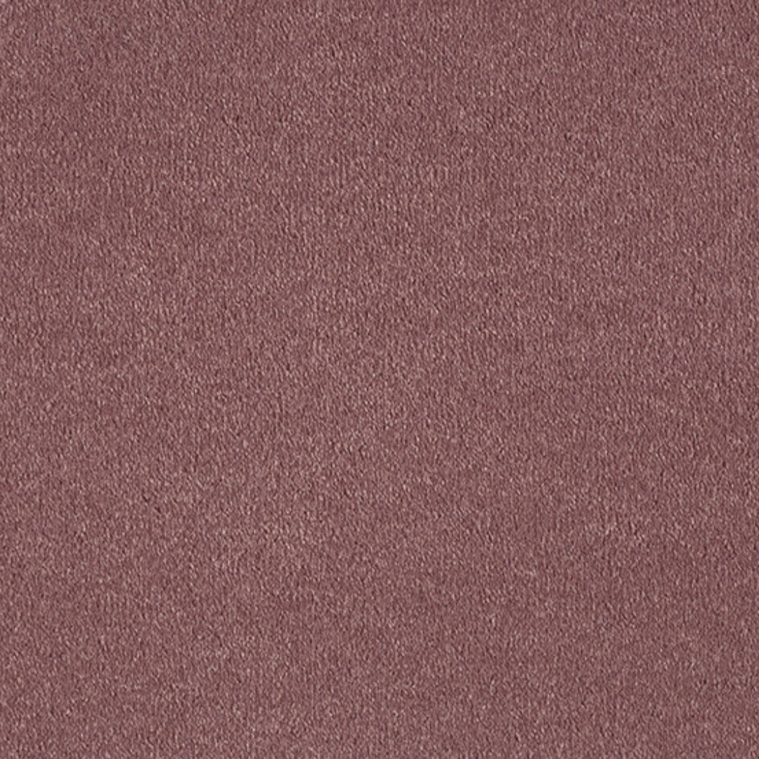 Vitoria Carpet