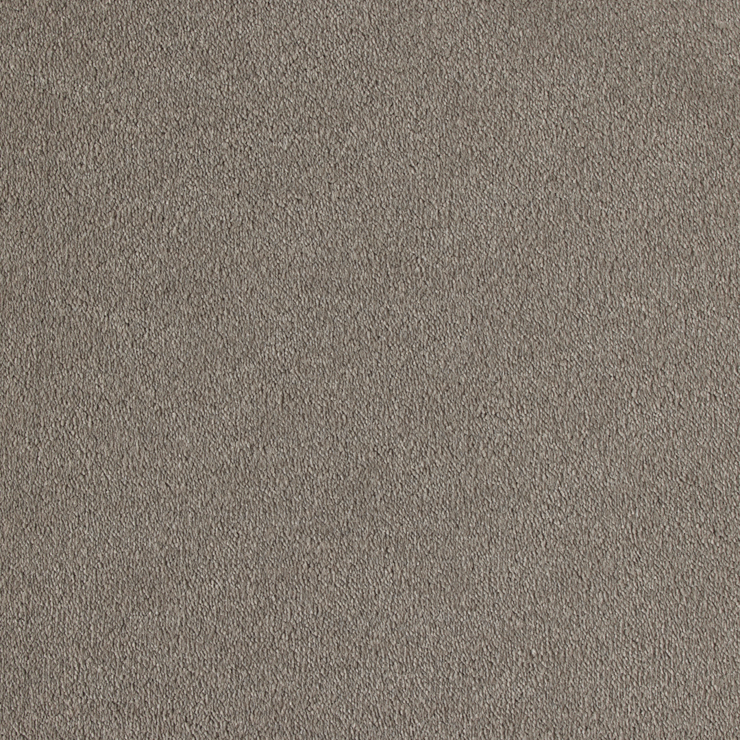Vitoria Carpet