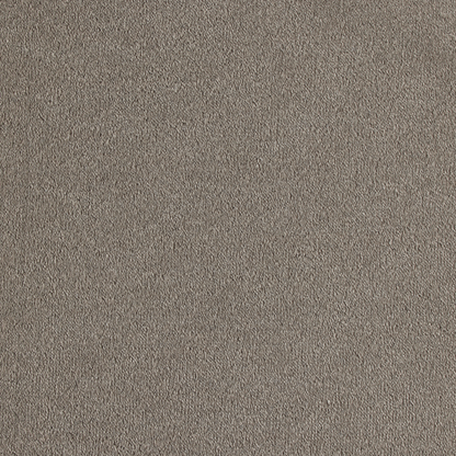 Vitoria Carpet