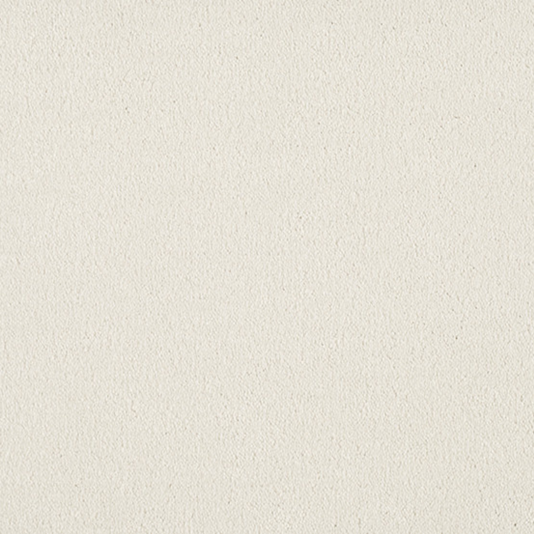 Vitoria Carpet