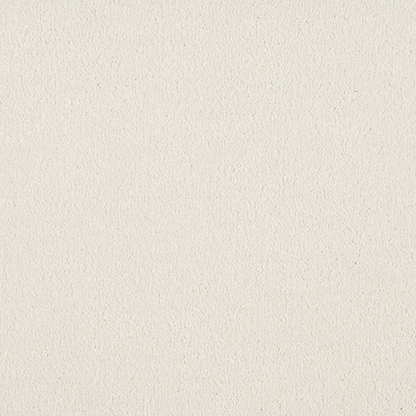Vitoria Carpet