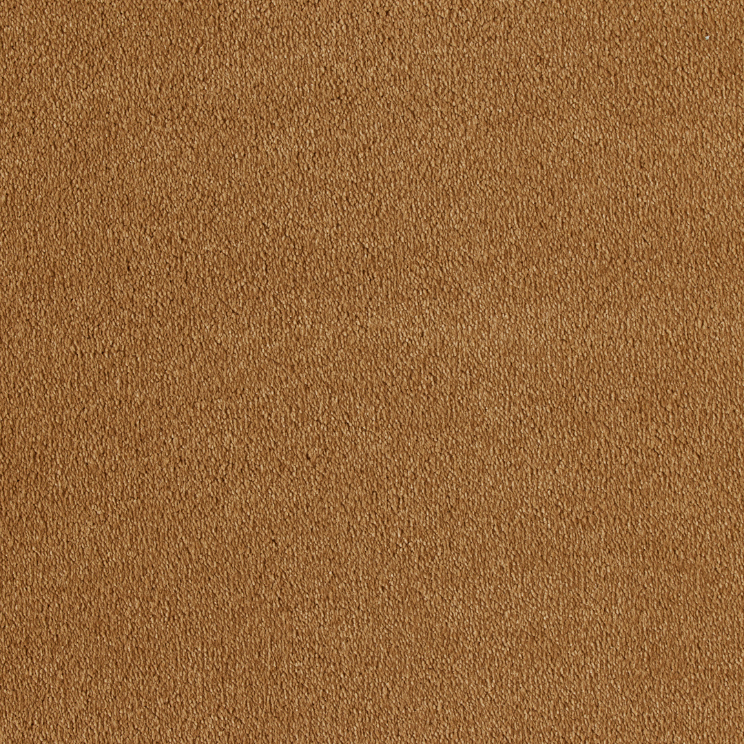 Vitoria Carpet