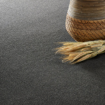 Vitoria Carpet