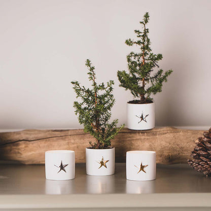 Starlight set of 2 “Silver”