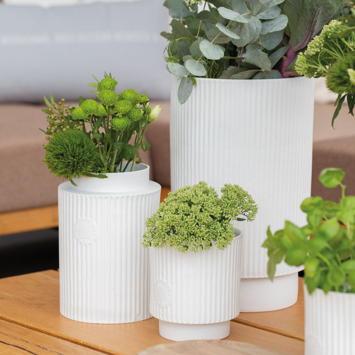 Straightforward. Planter "Keep on growing"