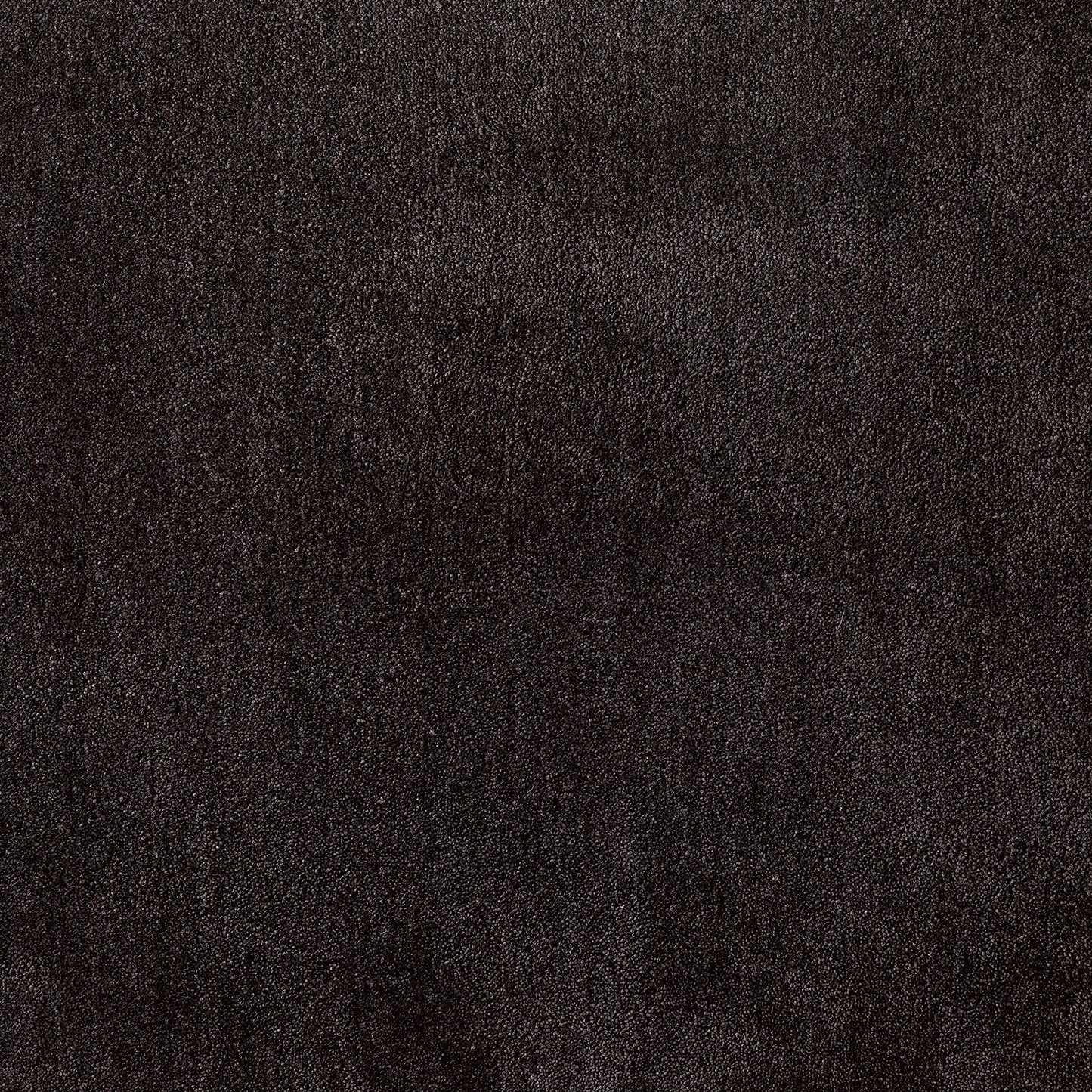 Sophia Carpet
