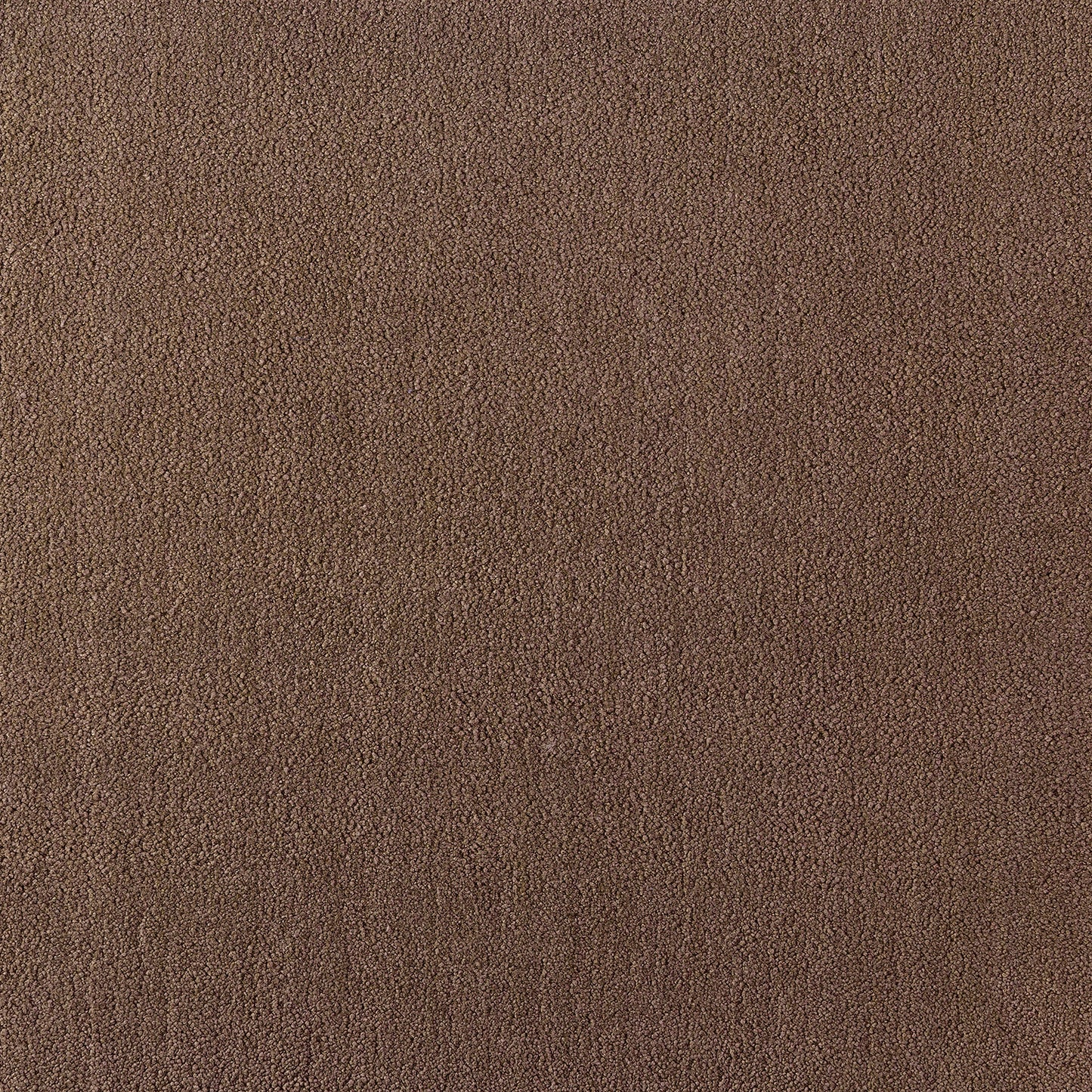 Sophia Carpet