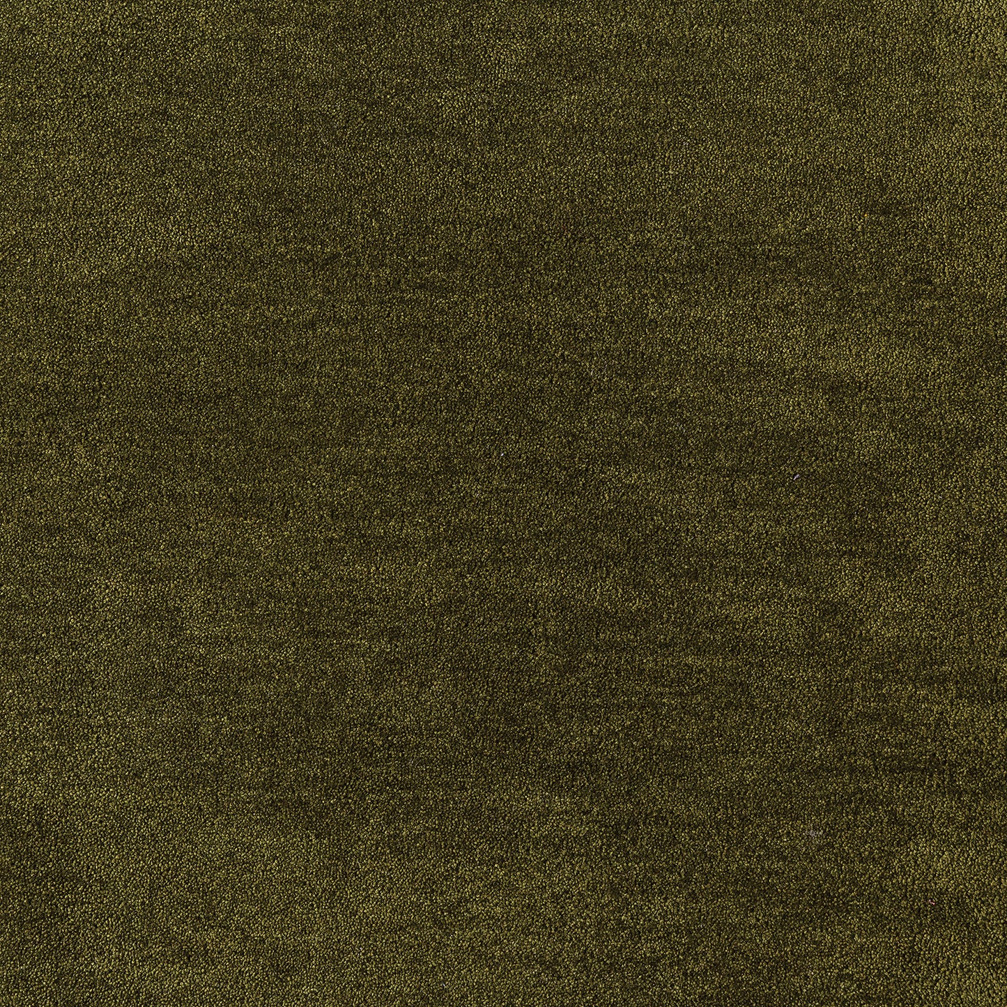 Sophia Carpet