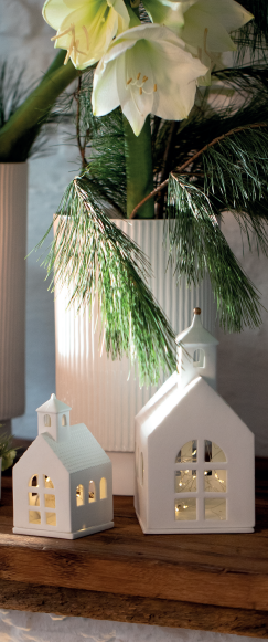 "Church” house of light